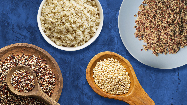 variety of quinoa types on blue background