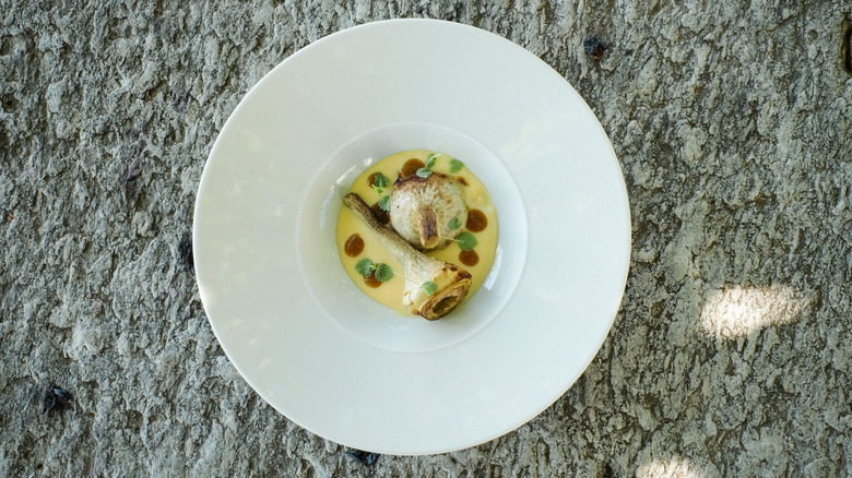 fancy artichoke dish with sauce and microgreens