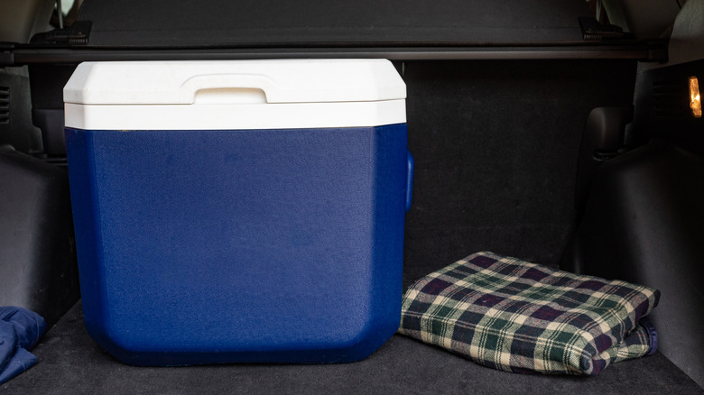 Plastic cooler in trunk of vehicle