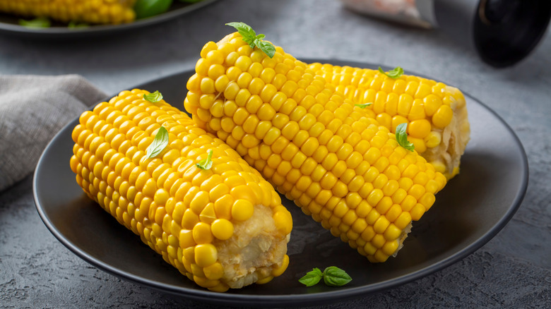Three cooked cobs of corn on a plate
