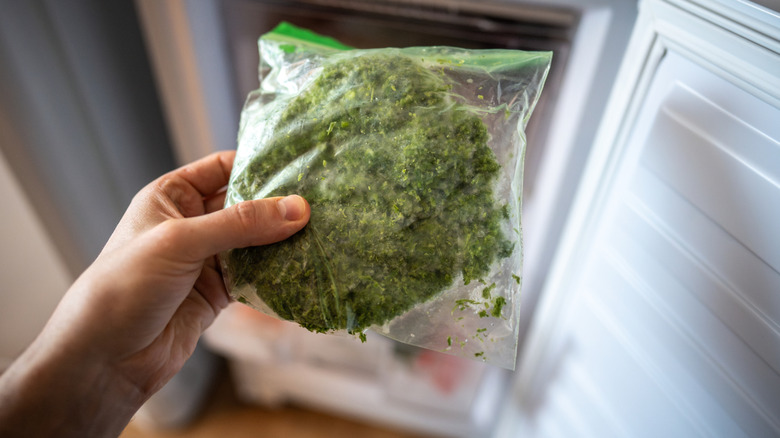 hand holding plastic bag of frozen pesto from the freezer
