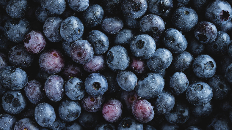 Blueberries