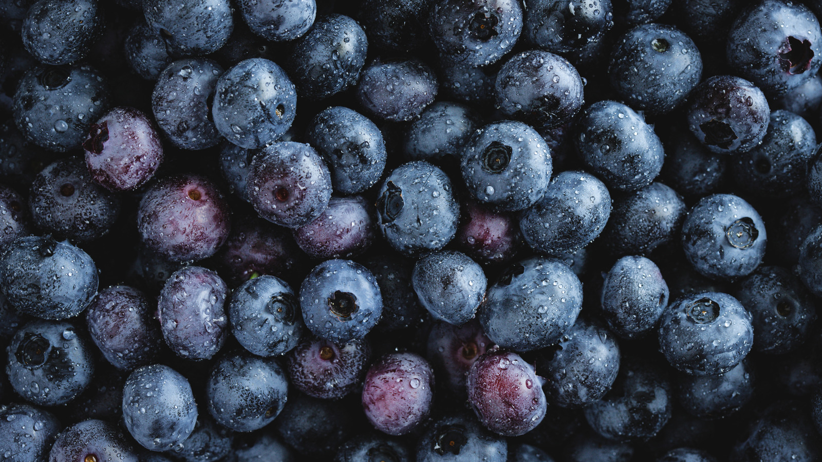 The Country That Produces The Most Blueberries In The World Isn't The US