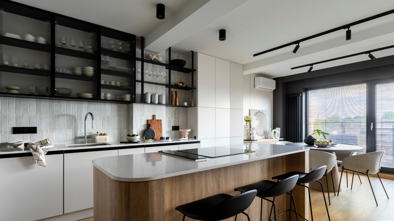 Minimalist kitchen with dark glass door cabinets