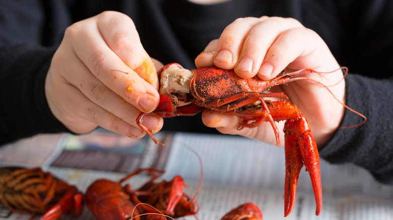 Person breaking apart a cooked crawfish.