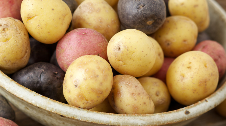 Variety of fresh baby potatoes