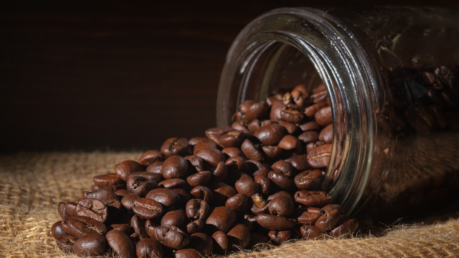 How to Maintain Specialty Coffee Beans Quality: Expert Tips Revealed