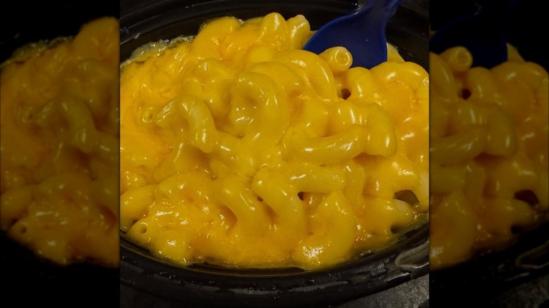 An actual image of Culver's Wisconsin cheddar cheese and mac, oozing with melted cheese