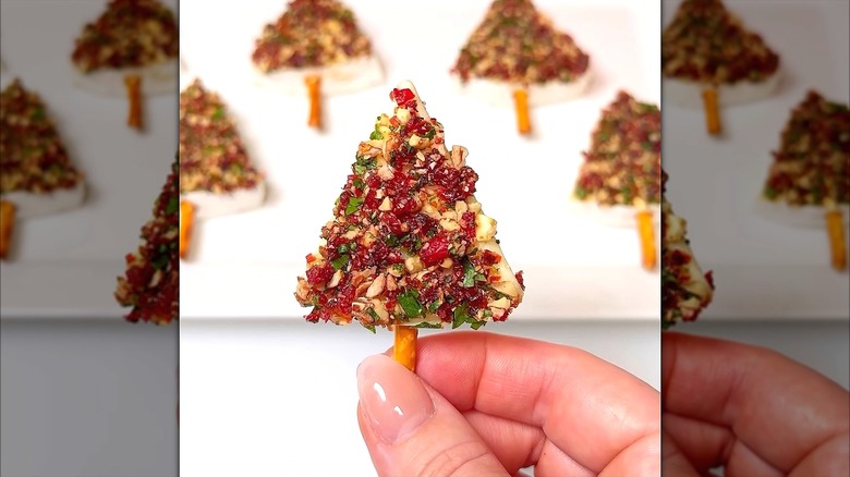 Hand holding a mini wedge of Brie covered in chopped nuts, herbs, and dried fruit