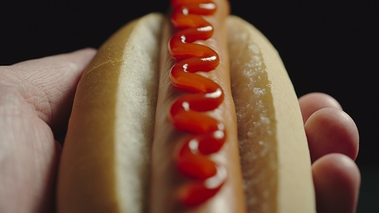 Hot dog with ketchup