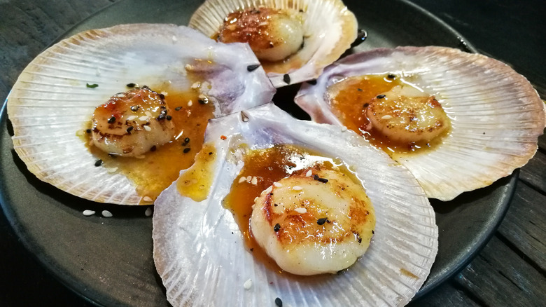 giant grilled Tasmanian scallops with butter on a black plate