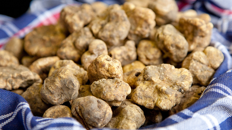 pile of white truffles