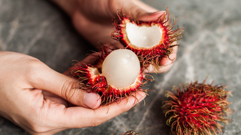 Person holding a partly peeled rambutan