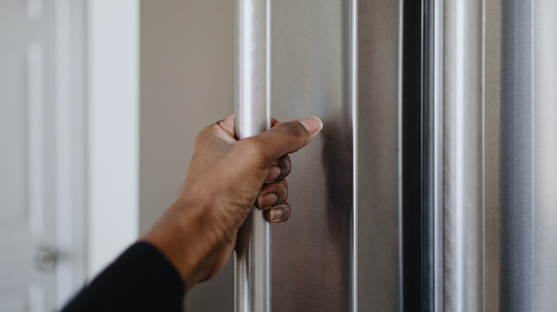 Hand on a fridge handle