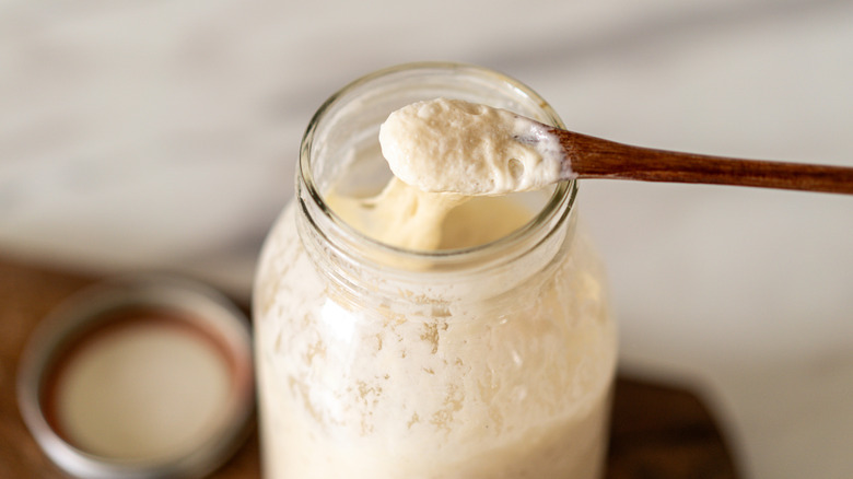 a jar holding active sourdough starter