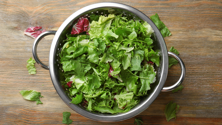 Bowl of washed lettuce in a metal colander