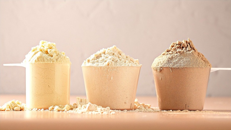 Three small plastic scoops filled with vanilla, unflavored, and chocolate protein powder