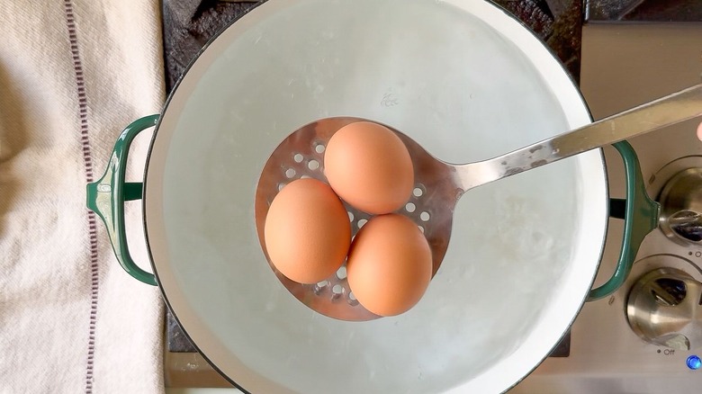 Lowering brown eggs on slotted spoon into pot of boiling water on stovetop