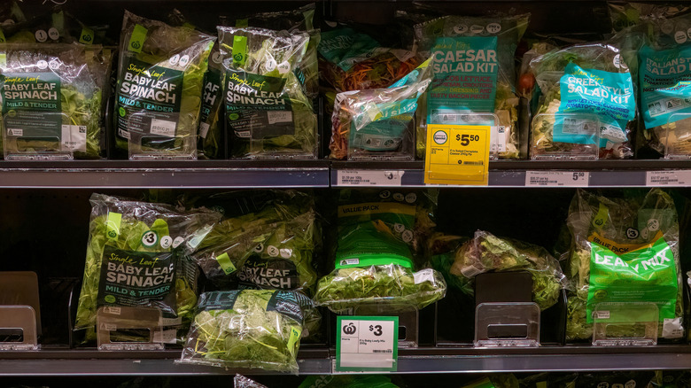 Rows of bagged salad at a grocery store