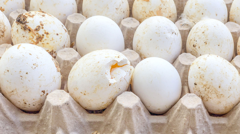 Rows of dirty and cracked eggs in a carton.