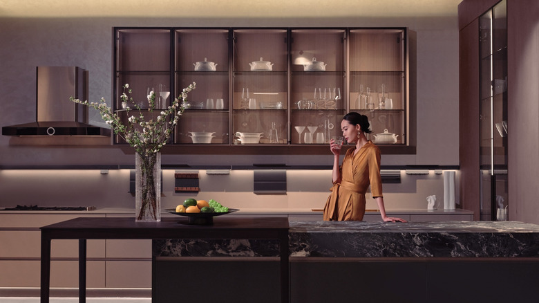 Modern kitchen with glass door shelves