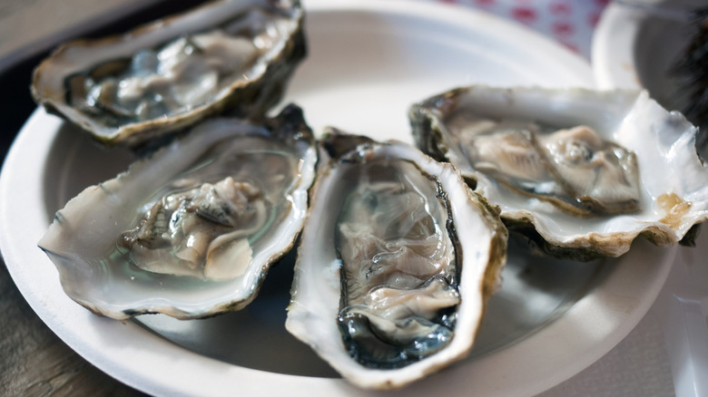 Oysters on a plate