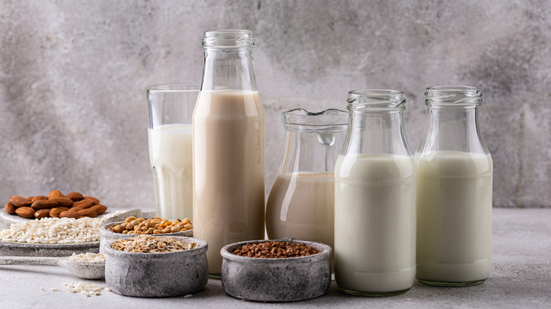 Various glasses of non-dairy milks
