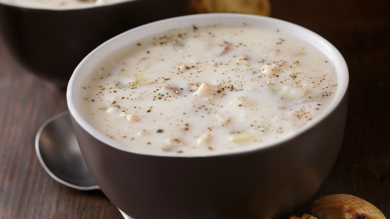 clam chowder 