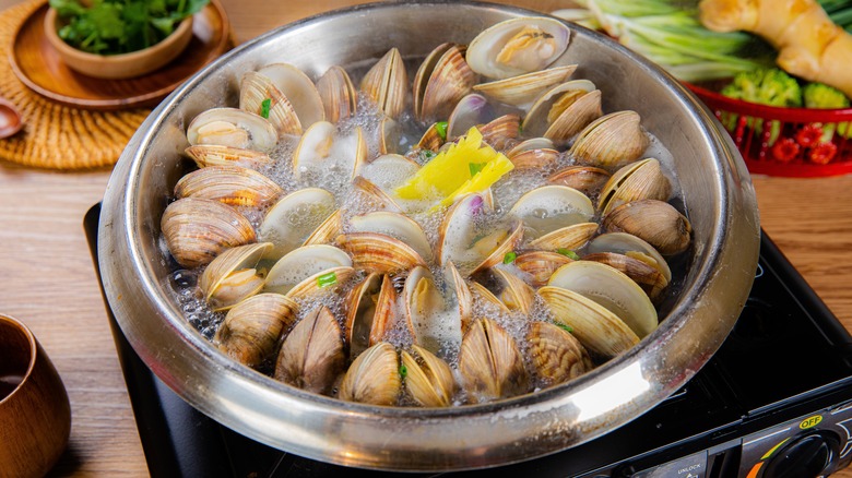 Steamed clams in a dish