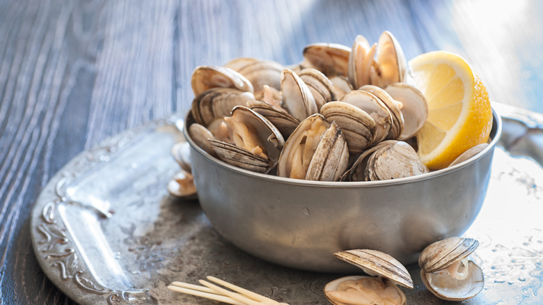 Steamed clams in a bowl