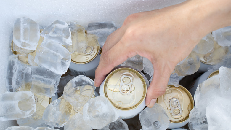 cold cans inside a cooler of ice