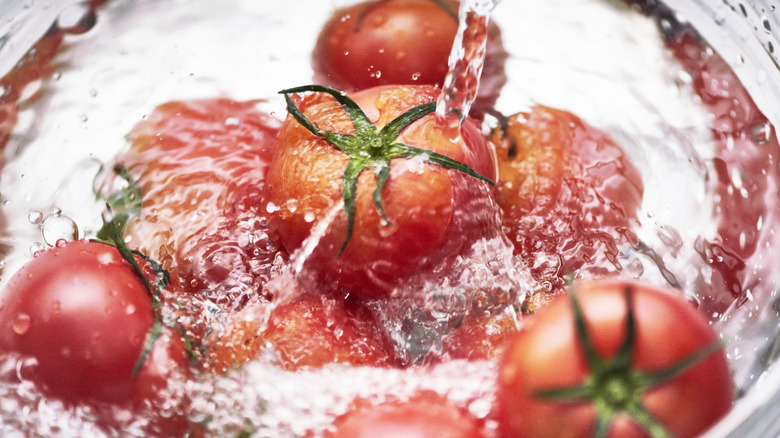 Tomatoes in salty iced water.