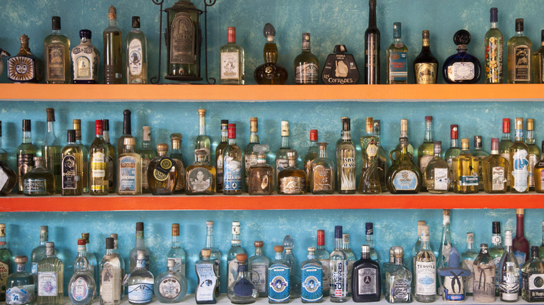 Tequila bottles on shelves against blue wall