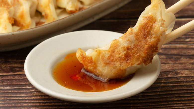 A gyoza dumpling held with a chopstick and dipped into a sauce