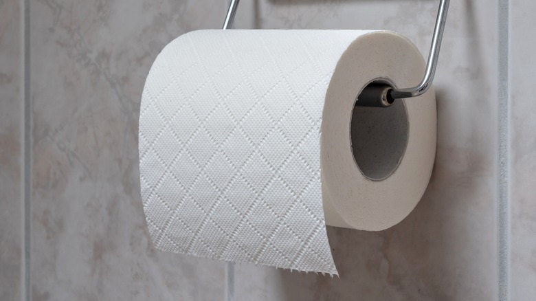 Roll of toilet paper on toilet paper holder