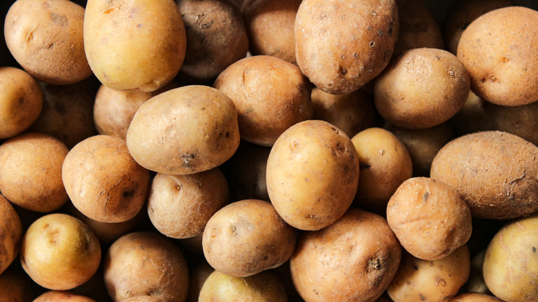 A pile of harvested potatoes