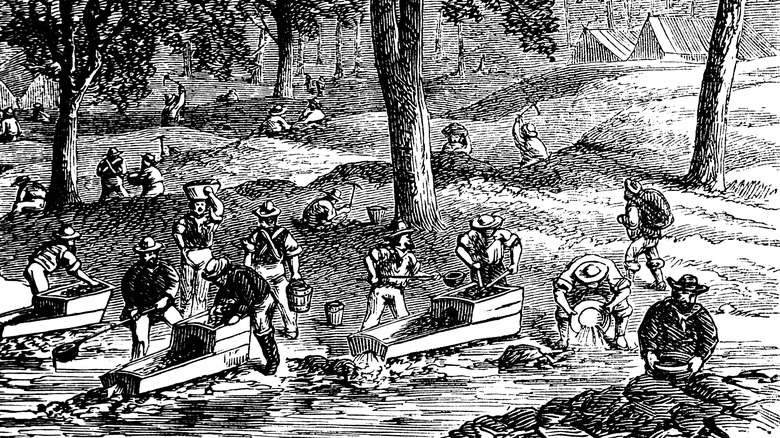 Miners prospecting for gold in California during the Gold Rush