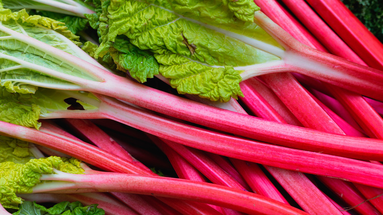 Stack of rhubarb