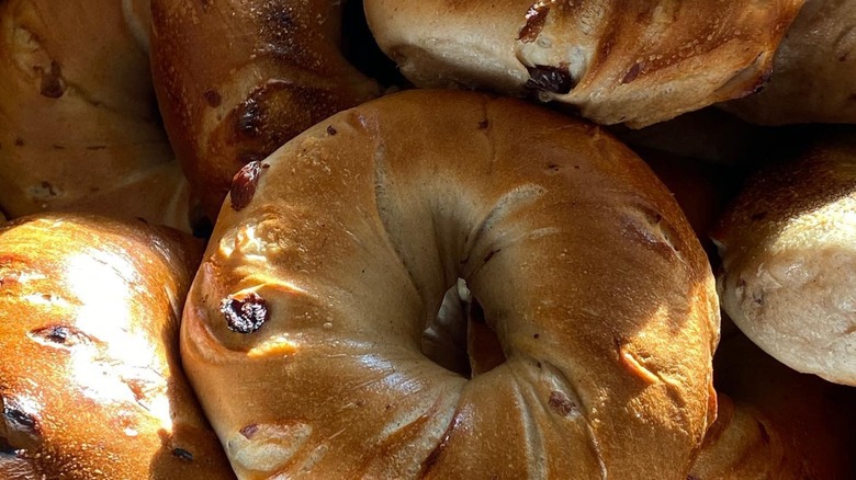 Close-up of a pile of raisin bagels