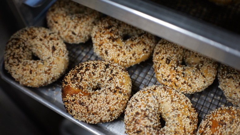 Rows of everything bagels on steel rack