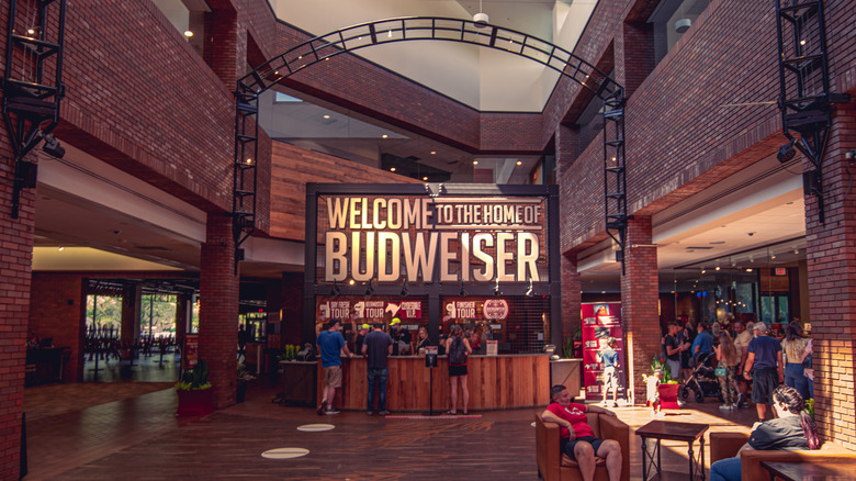A row of Clydesdale horses in front of the Anheuser-Busch Brewery