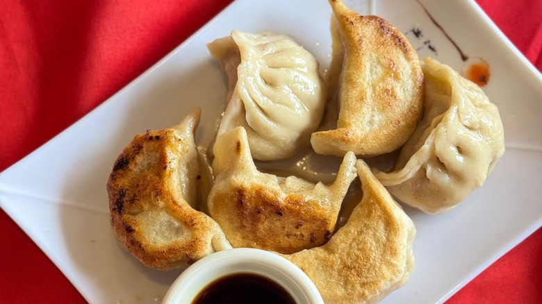 A plate of pork pot stickers at ABC Cafe in Overland Park