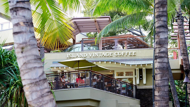 Exterior of the Island Vintage Coffee location inside the Royal Hawaiian Center