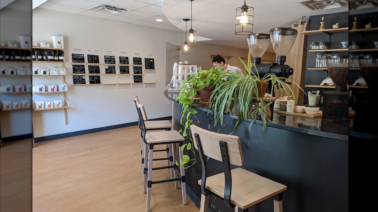 Interior of Onyx Tonics Specialty Coffee