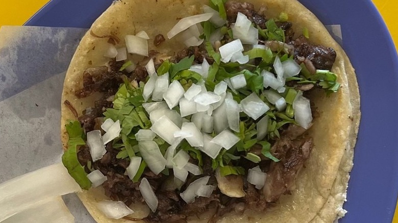 An asada taco on a plate at Faustinos Taqueria