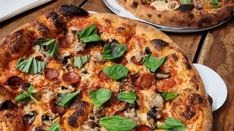 A Shroom at Pizzeria Lui in Colorado