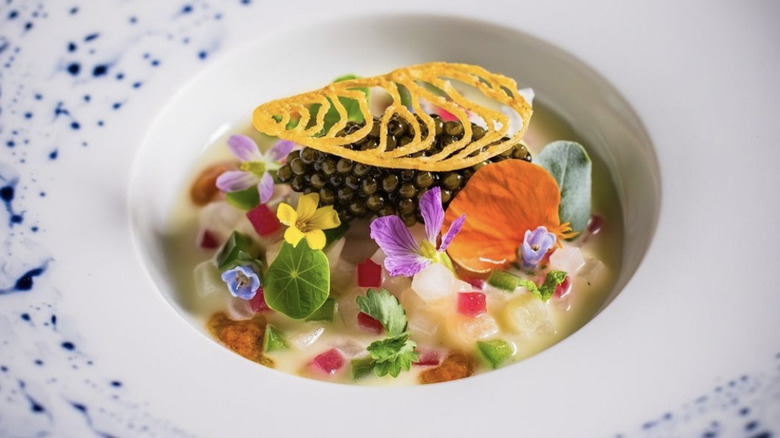 An oyster dish with caviar from Providence restaurant in Los Angeles in a white and blue bowl