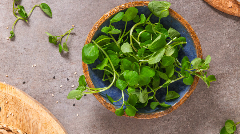 raw watercress in a bowl on top of table