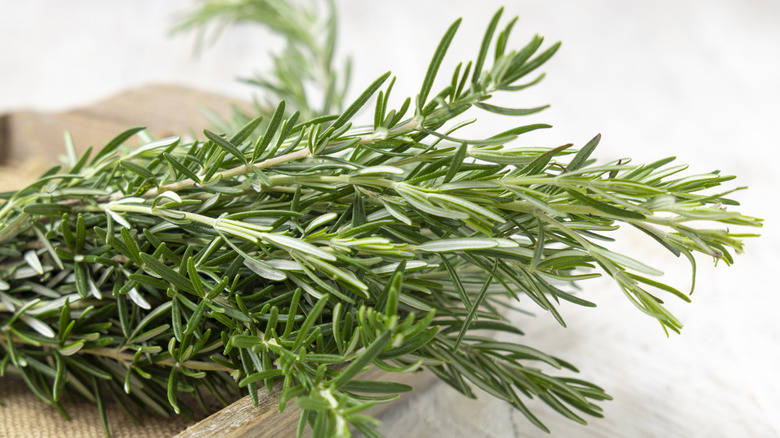 Fresh rosemary on tray on pale wooden countertop.
