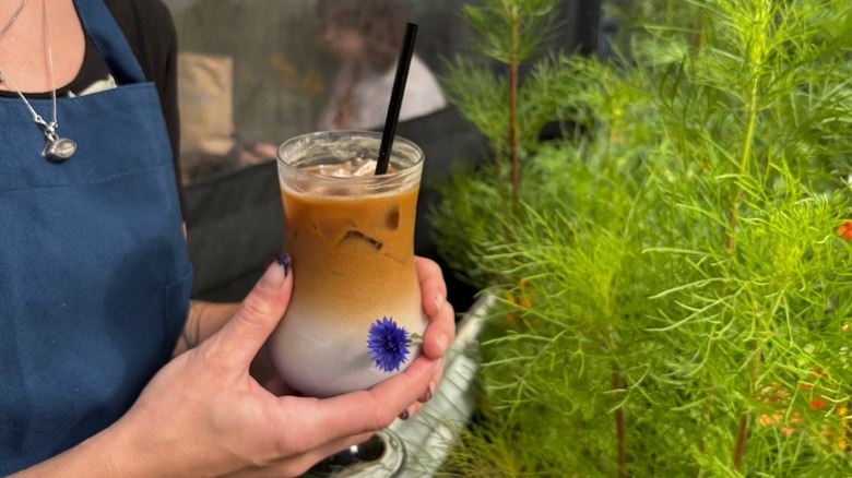 Person holding a blueberry latte and a blue flower